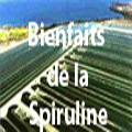 Les bienfaits de la spiruline