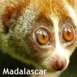 Madagascar :anecdotes, adresses