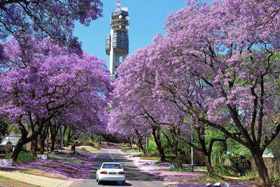 Pretoria