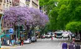Buenos Aires